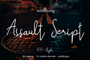 Assault Script for Bold Digital Branding and Web Design
