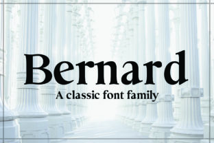 Bernard for Campaign Designers and Brand Storytellers