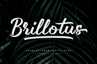 Brillotus: The Handwritten Font That Elevates Your Brand