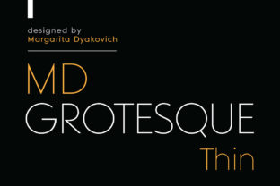 MD Grotesque Thin for Small Business Branding and Design