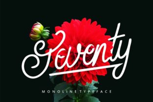 Seventy: A Script Font That Elevates Your Web Design