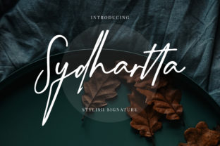Sydhartta: A Font for Thoughtful Editorial Design